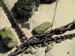 SX09036 Mooring chains on beach of Mousehole harbour.jpg